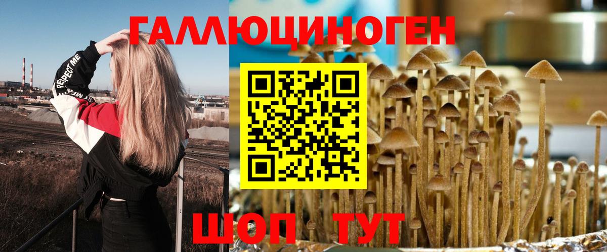 Галлюциногенные грибы GOLDEN TEACHER Балашиха