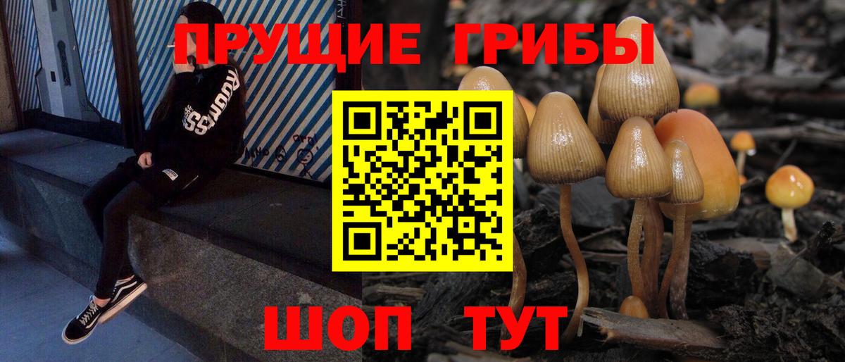Галлюциногенные грибы Psilocybine cubensis  Галлюциногенные грибы Magic Shrooms  Балашиха  Вход с VPN 